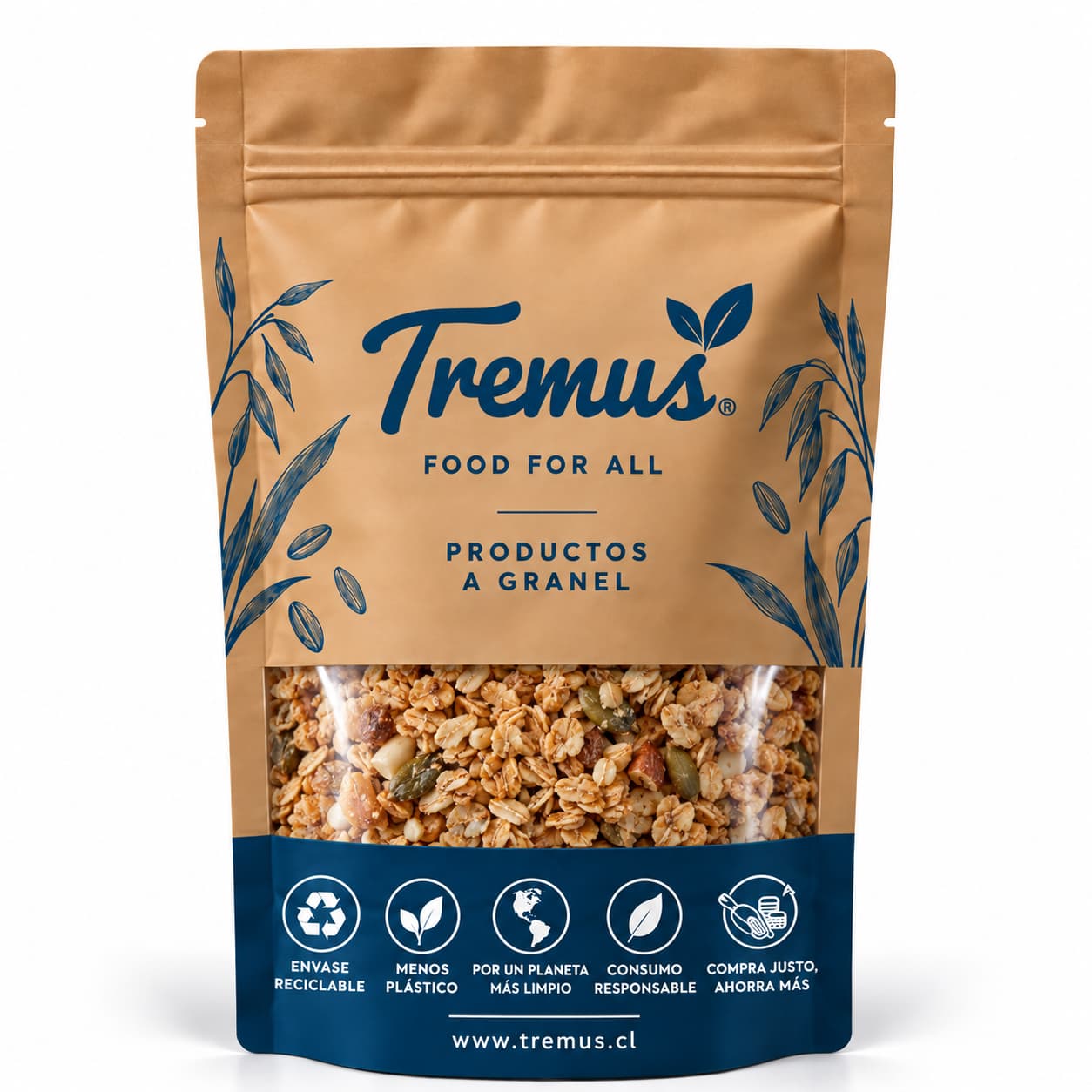 Granola Artesanal Mix de Semillas y Frutos secos, Granel Tremus