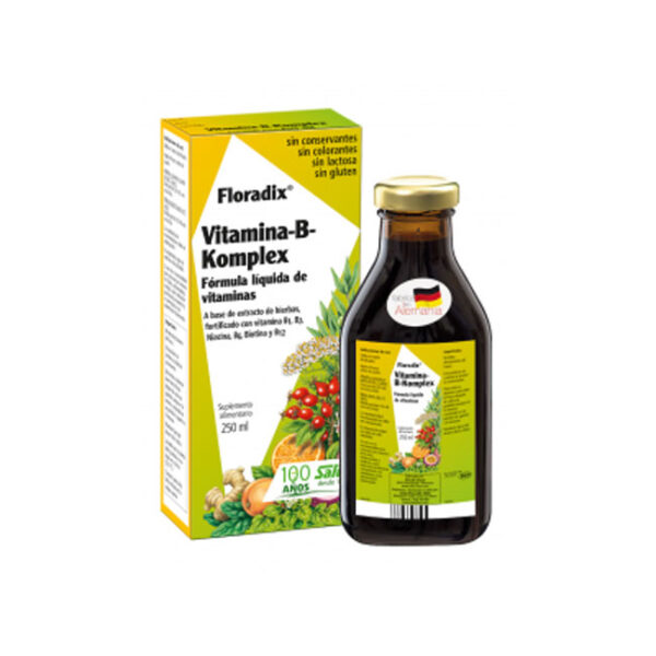 Floradix Vitamina B1 + B2+ Niacina+ B6+ Biotina + B12 250 ml marca Salus