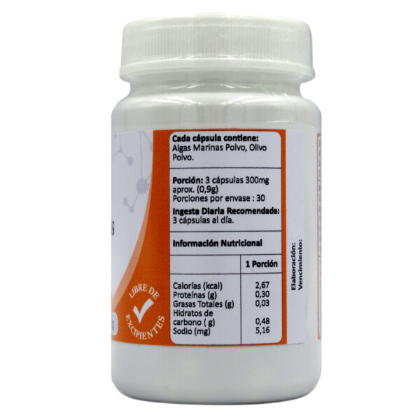Algas Marinas-Plus 31 gr 90 capsulas Marca Avanti 3 ETIQUETA 1121404