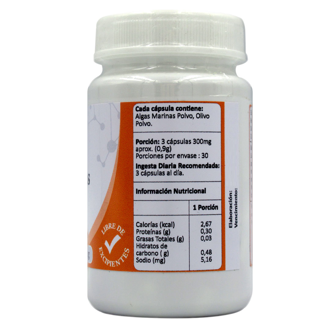 Algas Marinas-Plus 31 gr 90 capsulas Marca Avanti 2 Algas Marinas-Plus 31 gr 90 capsulas Marca Avanti - Imagen 2