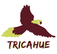 conservas-tricahue
