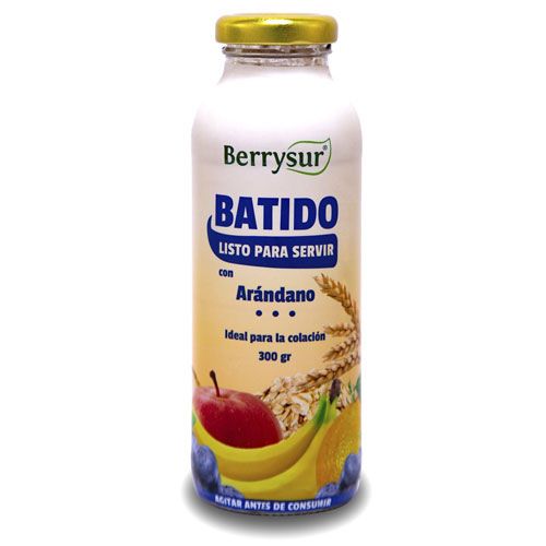 Batido Energético Daily Boost. Sabor Bluebeet 300 ml Marca Berrysur