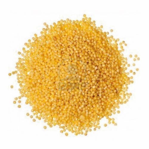 Mijo Pelado, 500 gr, Granel Tremus