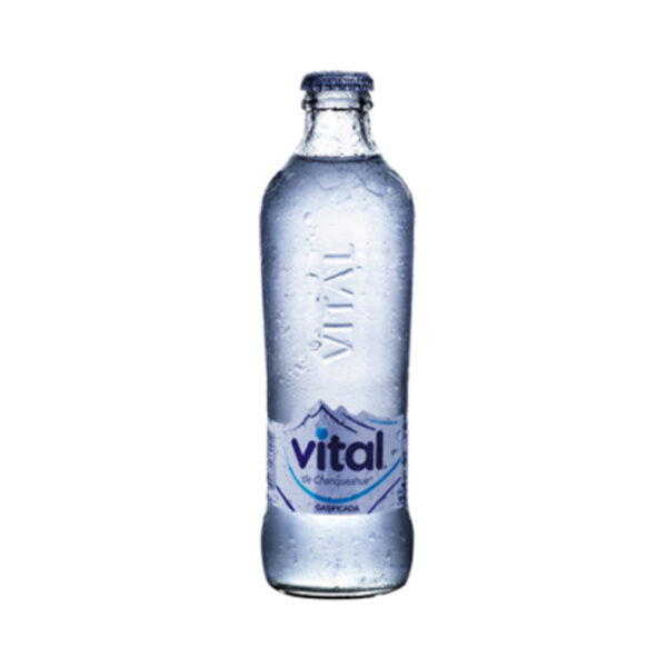 Agua Mineral Vital, con Gas, Vidrio 330 Ml