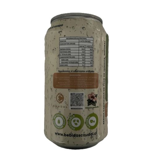Agua Gasificada y Saborizada Flor de Jamaica 350ml Marca Caudal - Imagen 2