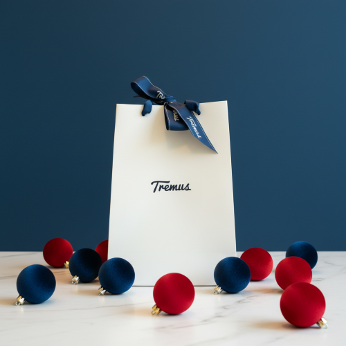 Bolsa de Regalo chica Tremus